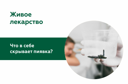 Живое лекарство: Что в себе скрывает пиявка 
